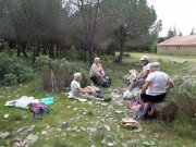 180503_Asphodeles014.jpg