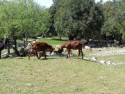 180426_Mas-Neuf009.jpg