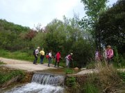 180423_St-Jean-de-Blaquiere017.jpg