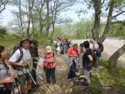 180423_St-Jean-de-Blaquiere022.jpg