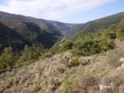 180415_Gornies003.jpg