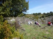180415_Gornies005.jpg