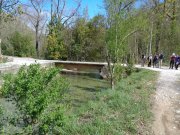 180415_Gornies016.jpg