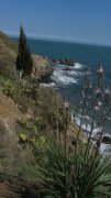 180409_9-Avril028.jpg