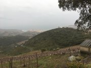 180408_8-Avril045.jpg