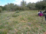 180329_Villeveyrac001.jpg