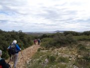 180329_Villeveyrac003.jpg