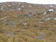 180326_Lavagnes022.jpg