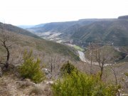 180318_Soubes-Camp-Rouch027.jpg