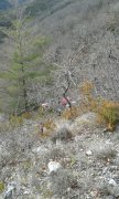 180318_Soubes-Camp-Rouch029.jpg
