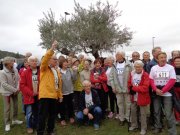 180311_Zonta003.jpg