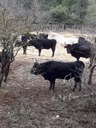 180304_Alpilles009.jpg