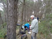 180304_Alpilles010.jpg