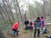 180304_Alpilles014.jpg