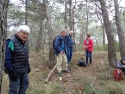 180304_Alpilles016.jpg