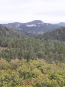 180304_Alpilles018.jpg