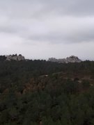 180304_Alpilles019.jpg