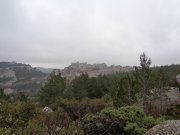 180304_Alpilles022.jpg