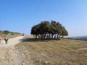 180222_Montaud005.jpg