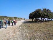 180222_Montaud006.jpg