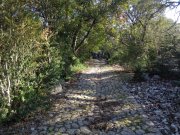 180208_Cambous003.jpg