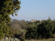 180208_Cambous015.jpg