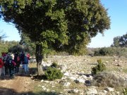 180208_Cambous016.jpg