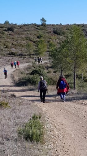 Cliquer pour voir l'image en taille réelle