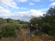 180115_St-Martin027.jpg