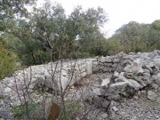 180115_St-Martin029.jpg