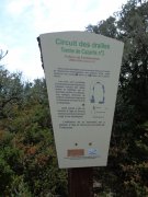 180115_St-Martin031.jpg