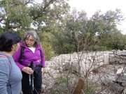 180115_St-Martin032.jpg