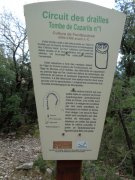 180115_St-Martin034.jpg