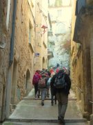180311_Sommieres009.jpg