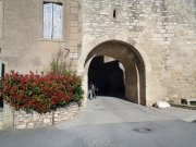 180311_Sommieres022.jpg