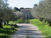 180311_Sommieres024.jpg
