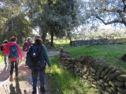 180311_Sommieres025.jpg