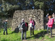 180311_Sommieres026.jpg