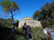 180311_Sommieres030.jpg
