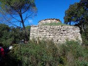 180311_Sommieres031.jpg
