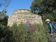 180311_Sommieres033.jpg
