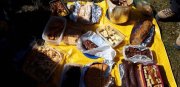 180311_Sommieres036.jpg