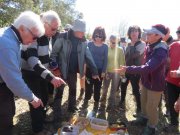 180311_Sommieres043.jpg