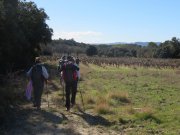 180311_Sommieres045.jpg