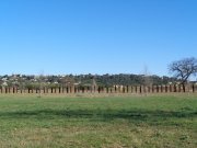 180311_Sommieres052.jpg