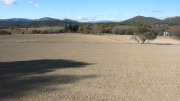 171130_Orthoux005.jpg