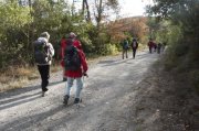 171130_Orthoux010.jpg