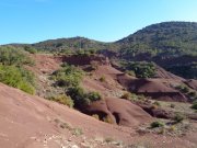 171116_Canyon009.jpg
