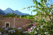 171011_Soller002.jpg