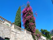 171011_Soller006.jpg